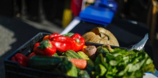 ¿Cómo el desperdicio de comida afecta al cambio climático en Chile y el mundo?