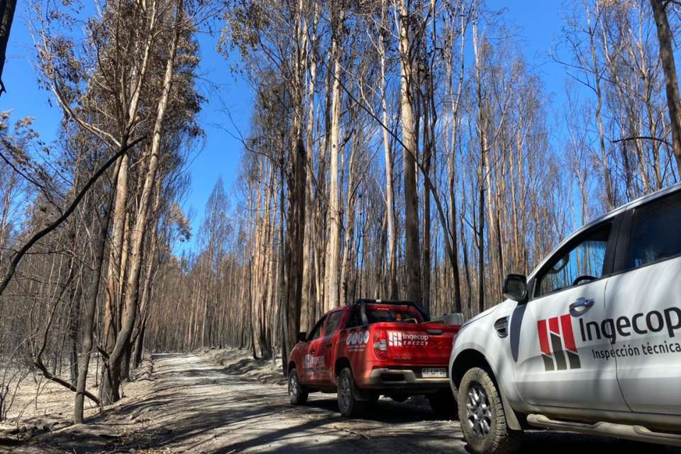 Ingecop, colabora en los incendios forestales del sur de Chile (2)