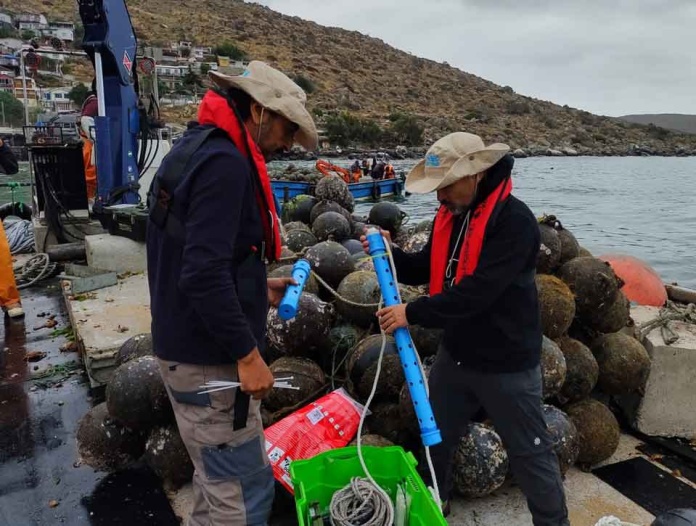 Instalación de tecnología en Bahía de Guanaqueros podría mejorar procesos productivos de empresa Scallop