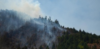 La Cámara Minera de Chile lamenta tragedia de incendios forestales en el país