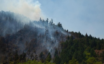 La Cámara Minera de Chile lamenta tragedia de incendios forestales en el país