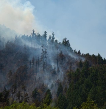 La Cámara Minera de Chile lamenta tragedia de incendios forestales en el país