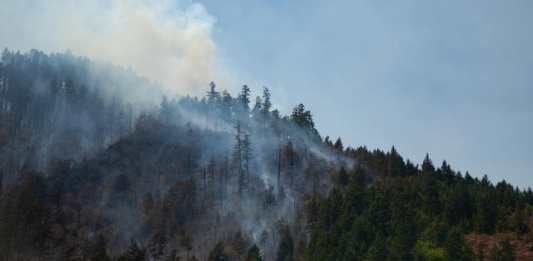 La Cámara Minera de Chile lamenta tragedia de incendios forestales en el país