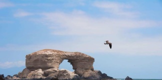 Cuáles son las otras industrias que potencian el norte de Chile