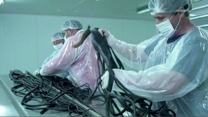 Proyecto apoyado por Caletas Sustentables de Fundación Chile