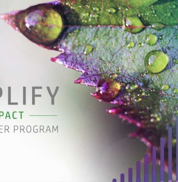 HP celebra a los ganadores de los primeros premios Amplify Impact