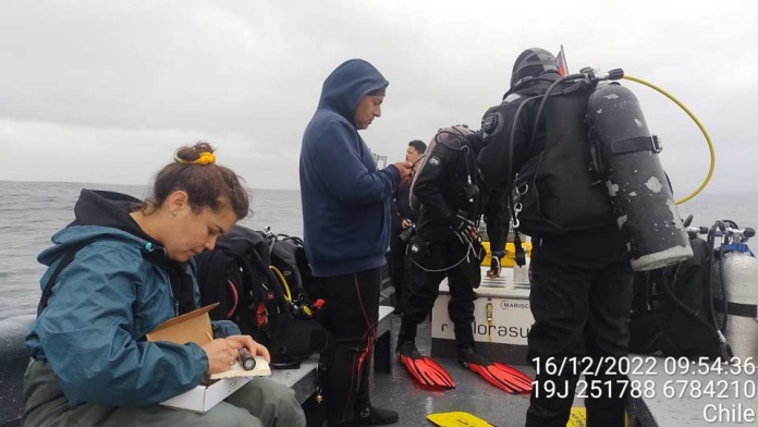 Inédito levantamiento de información oceanográfica busca apoyar los planes de conservación de la Reserva Marina Isla Chañaral