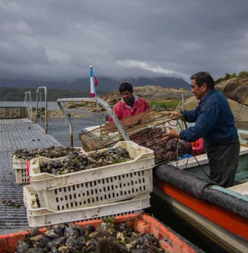 Universidad de Concepción, COPAS Coastal e INCAR invitan a postular al Diplomado Adaptación al Cambio Climático en Pesca y Acuicultura