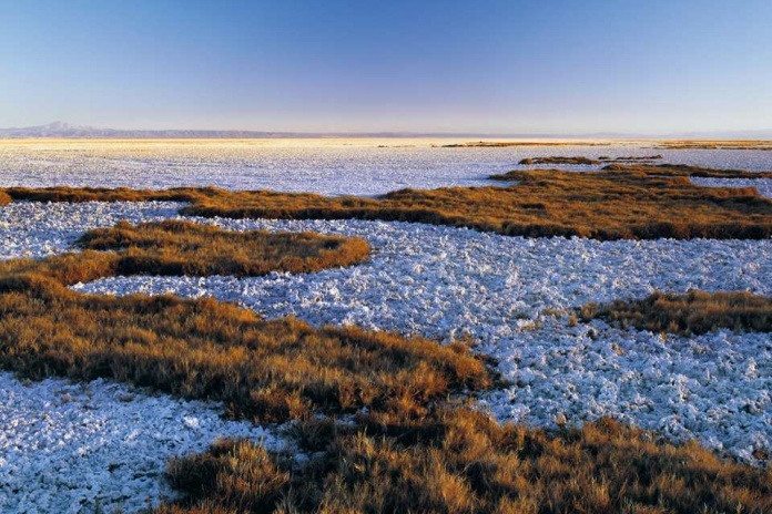 CORFO abre convocatoria para el diseño del instituto tecnológico y de investigación público de LITIO y SALARES