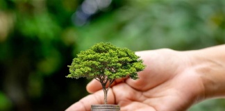 Lanzan plataforma tecnológica para enseñar sobre el uso consciente del dinero en la Región de Ñuble