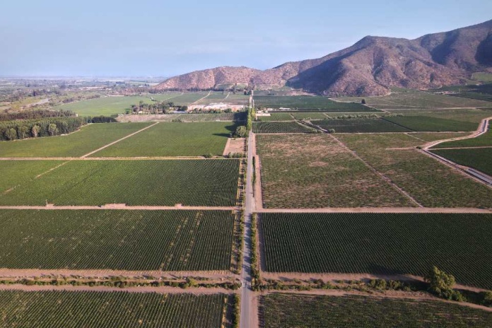 Viña Tarapacá se consolida como líder en sustentabilidad y biodiversidad en la industria vitivinícola