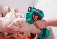 Agrosuper se convierte en la primera empresa de América en vacunar sin aguja a sus lechones