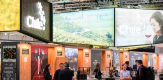 Bodegas nacionales brindan tras participación de vinos chilenos en ProWein 2023 de Düsseldorf