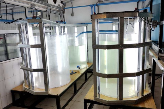 En Mehuín se inaugurará el primer hatchery acuícola para la educación técnico profesional de la zona sur En Mehuín se inaugurará el primer hatchery acuícola para la educación técnico profesional de la zona sur