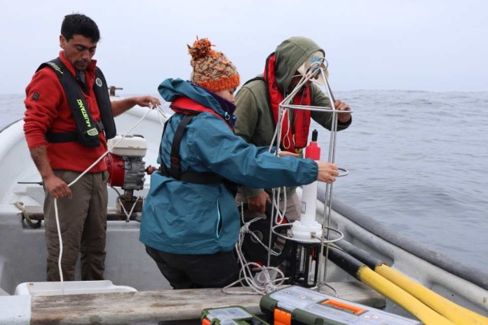 Parte del equipo del proyecto ECLIPSE-ANILLO del Centro Científico CEAZA participa en la versión XLII del Congreso de Ciencias del Mar, organizado por la Sociedad Chilena de Ciencias del Mar, Intesal y la Universidad de Los Lagos. En la oportunidad, profesionales del área oceanográfica presentan resultados de la investigación en la química marina del CO2 y consecuencias ecosistémicas y para la gobernanza de la Reserva Marina Isla Chañaral.