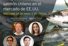 Expertos analizarán el panorama de la acuicultura chilena en EE.UU.