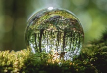 Signify camino a duplicar su impacto positivo en el medio ambiente y la sociedad como parte de su programa de sostenibilidad "Brighter Lives, Better World 2025"