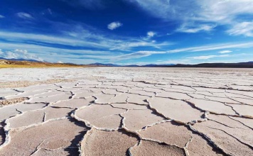 Universidad Católica del Norte desarrollará 5 potentes investigaciones sobre acuicultura, litio y los humedales del desierto de Atacama