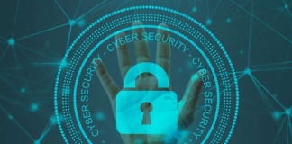 5 elementos claves en un ecosistema de ciberseguridad