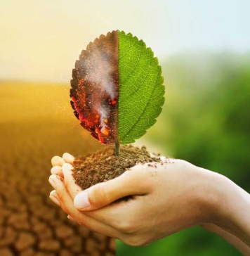 Bain y Asociación Internacional de Administradores de Carteras de Crédito (IACPM) 65% de las instituciones financieras no han definido quién abordará los riesgos climáticos en sus operaciones