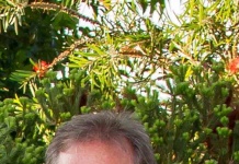 Drivin suma a Director de Estrategia y Desarrollo de Negocios para Estados Unidos y Canadá