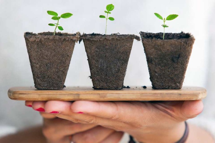 En el marco del Día Mundial del Medio Ambiente “Las prácticas ESG no pueden estar condicionadas por los vaivenes económicos”