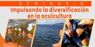 Invitan a Seminario sobre Diversificación Acuícola