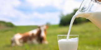 La genética como herramienta para contribuir en la producción de leche en toda Latinoamérica