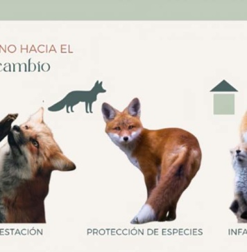 Smart Mom una alternativa respetuosa con el medioambiente impulsa iniciativa de una habitación 100% ecofriendly Smart Mom una alternativa respetuosa con el medioambiente impulsa iniciativa de una habitación 100% ecofriendly