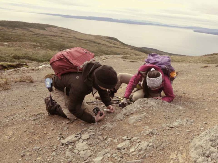 Taller participativo Taller participativo