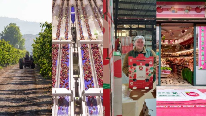 Una de las principales exportadoras de Latinoamérica en Chile Copefrut anuncia avances en gestión energética y reducción de la huella de carbono en su primer Reporte de Sostenibilidad