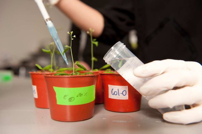 Día Internacional de la Bioingeniería Día Internacional de la Bioingeniería