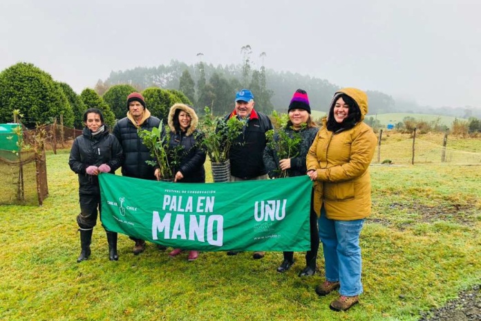 Festival Pala en Mano ya plantó 6 mil árboles en Chiloé
