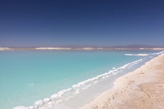 ¿Una industria en torno al litio? Sí, es posible, y las universidades tenemos mucho por hacer