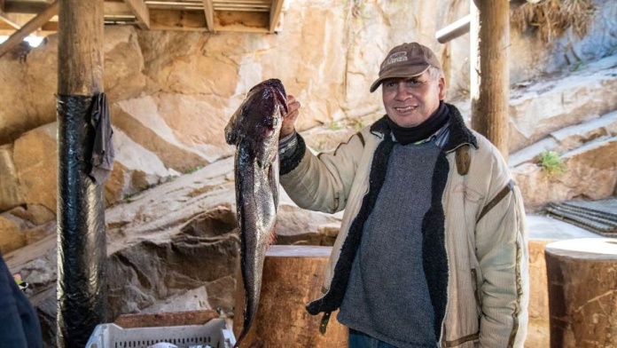 BHP Foundation impulsa una nueva red para el desarrollo y bienestar de las  caletas de pescadores