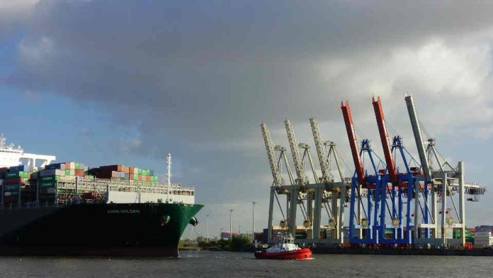 Bioelements amplía oferta de plásticos biodegradables adaptados a las necesidades de sostenibilidad de la industria pesquera del país