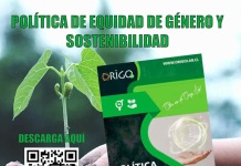 Compromiso transformador: Origo lab impulsa política de equidad de género y sostenibilidad