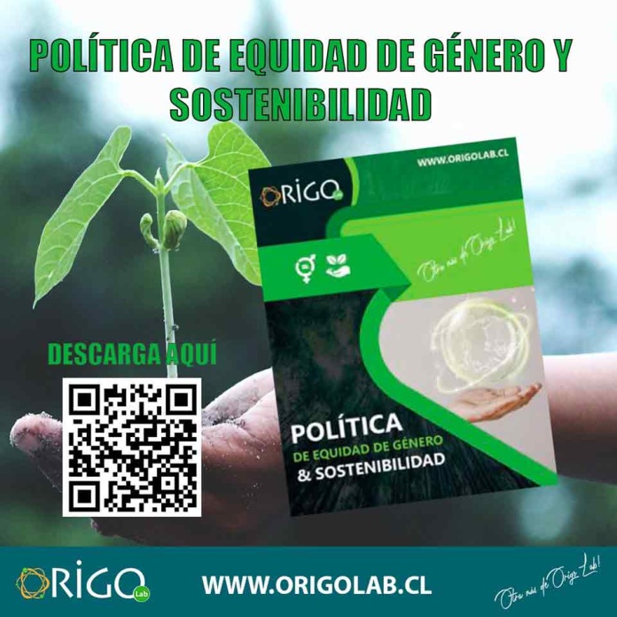 Compromiso transformador: Origo lab impulsa política de equidad de género y sostenibilidad Compromiso transformador: Origo lab impulsa política de equidad de género y sostenibilidad