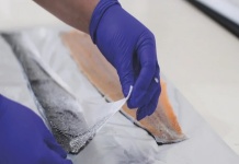 “Gel-X”, la plataforma tech que busca revolucionar el mercado alimentario y healthtech desde los residuos del salmón “Gel-X”, la plataforma tech que busca revolucionar el mercado alimentario y healthtech desde los residuos del salmón