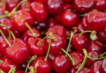 Nuevas tecnologías y mercados serán analizados por la industria de productores de fruta de Chile