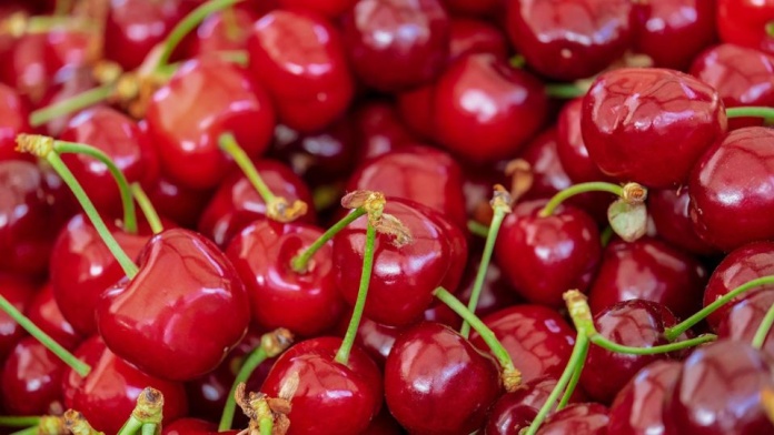 Nuevas tecnologías y mercados serán analizados por la industria de productores de fruta de Chile