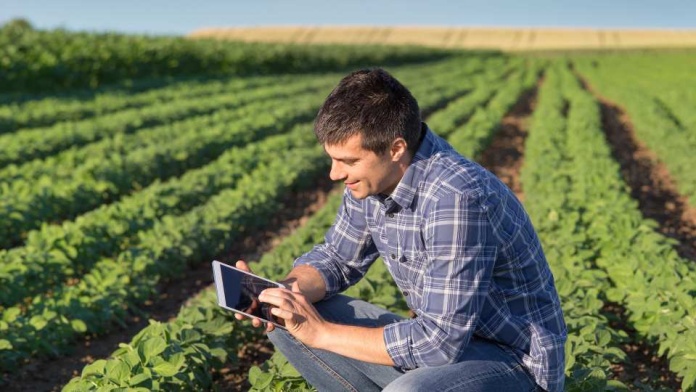 Startups “Agtech” se preparan para ser parte del Congreso y Feria Internacional de Innovación y Tecnologías en Agroalimentos