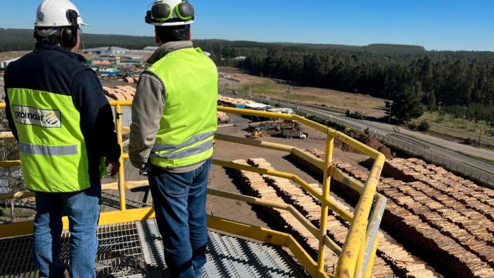 Proindar diseña nuevos servicios de grating para el sector forestal 