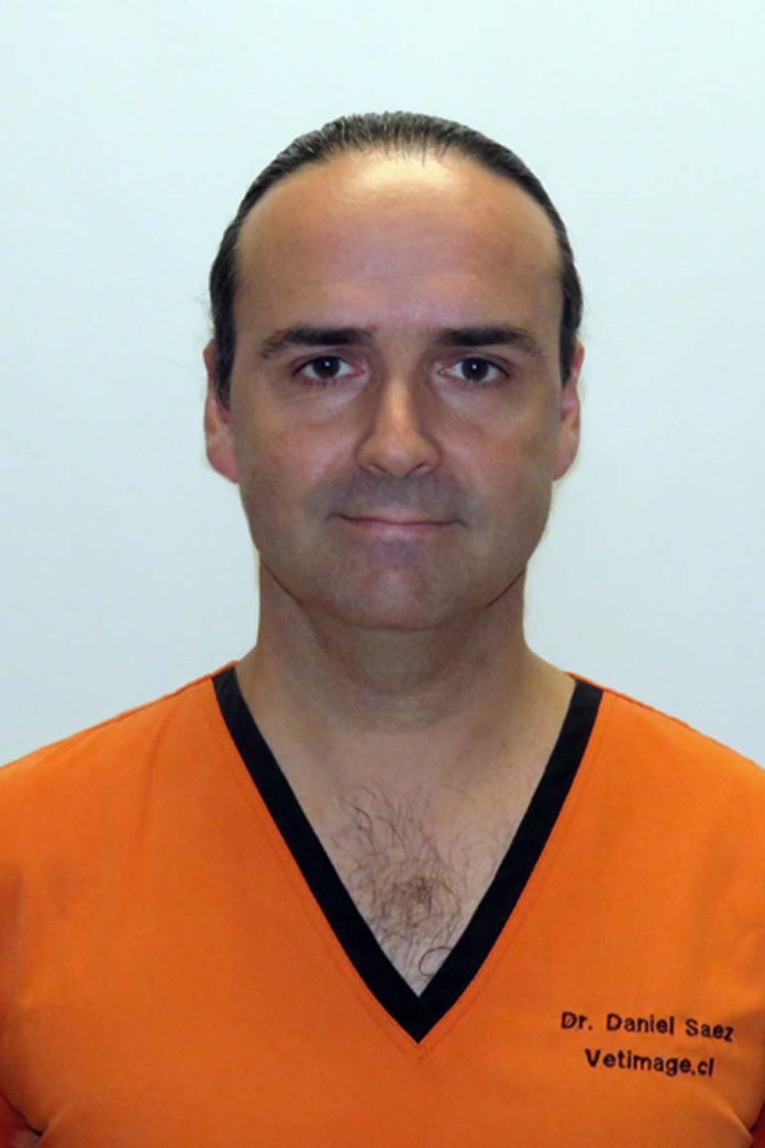 Veterinarios 4.0 Veterinarios 4.0