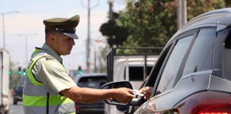 fiscalización de los documentos vehiculares electrónicos