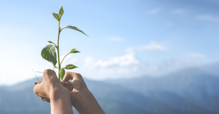 Día Internacional Contra el Cambio Climático