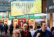Chile abre las puertas a ProWine Tokyo 2024:Un brindis por el mercado asiático