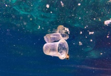 Estudio revela caída en nivel de “conciencia ambiental” en Chile 