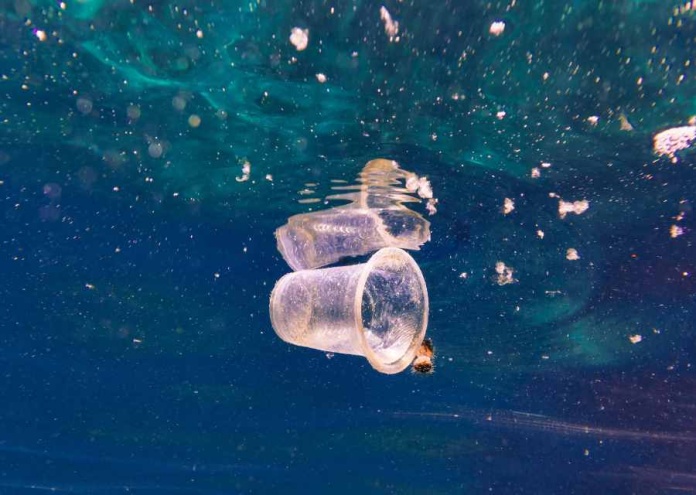 Estudio revela caída en nivel de “conciencia ambiental” en Chile 