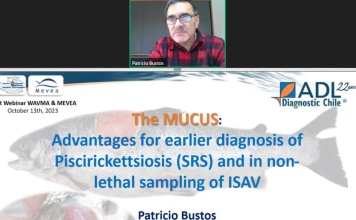 Gerente general de Adl Diagnostic Chile presentó  beneficios del mucus para la detección temprana de SRS e ISAv